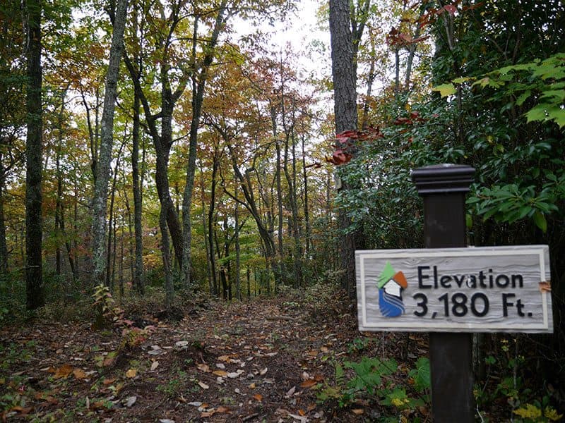 Sutton Knob