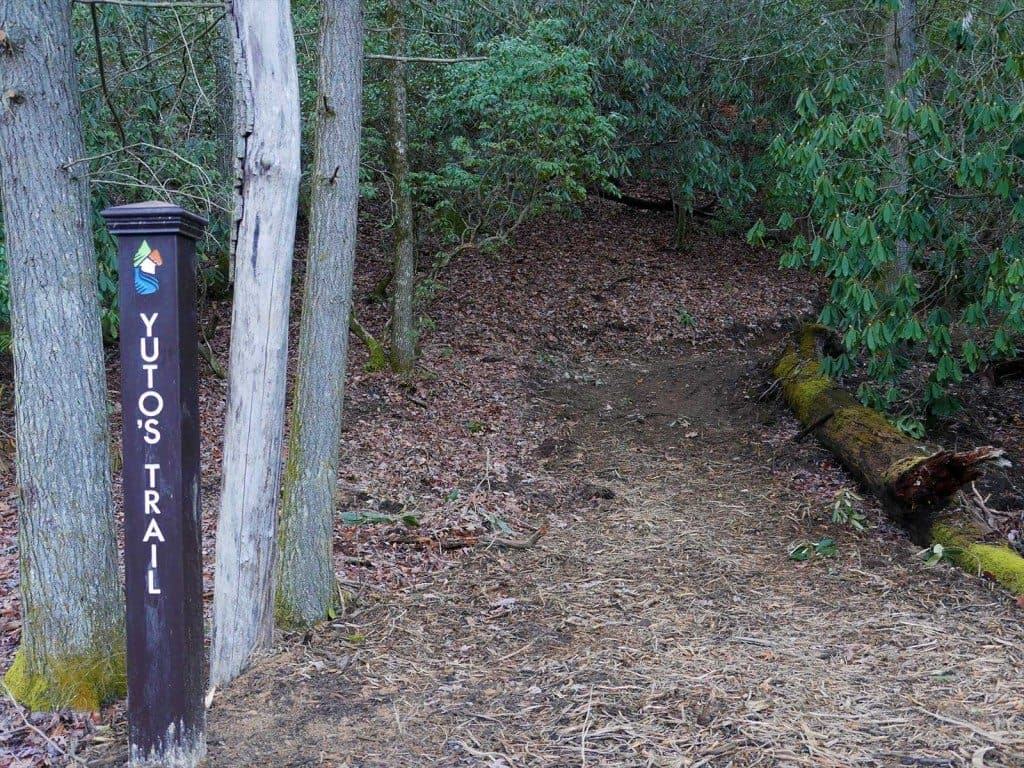 Sutton Knob